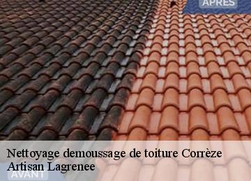Nettoyage demoussage de toiture 19 Corrèze  Artisan Lagrenee