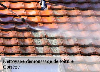 Nettoyage demoussage de toiture Corrèze