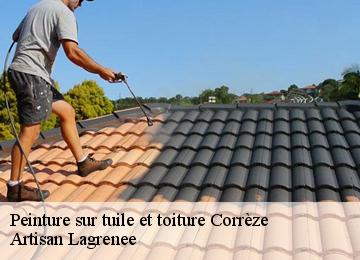 Peinture sur tuile et toiture 19 Corrèze  Entreprise AC PRO HABITAT