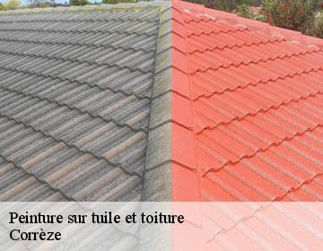 Peinture sur tuile et toiture Corrèze