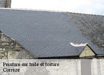 Peinture sur tuile et toiture Corrèze 