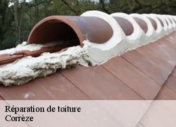 Réparation de toiture Corrèze 