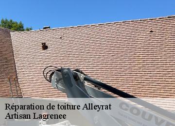 Réparation de toiture  alleyrat-19200 Artisan Lagrenee