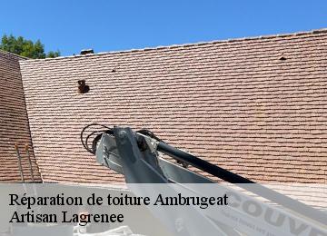 Réparation de toiture  ambrugeat-19250 Artisan Lagrenee