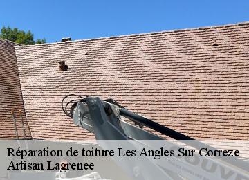 Réparation de toiture  les-angles-sur-correze-19000 Artisan Lagrenee