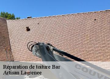 Réparation de toiture  bar-19800 Artisan Lagrenee