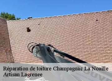 Réparation de toiture  champagnac-la-noaille-19320 Artisan Lagrenee