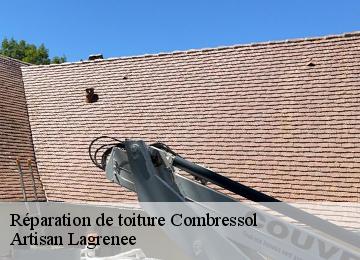 Réparation de toiture  combressol-19250 Artisan Lagrenee