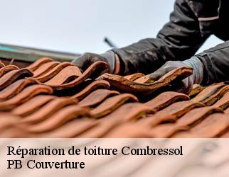 Réparation de toiture combressol-19250 PB Couverture