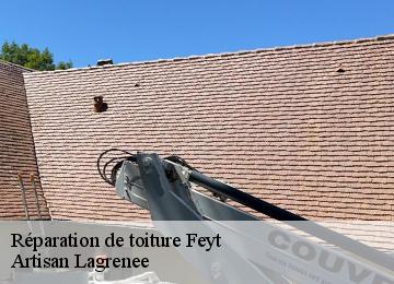 Réparation de toiture  feyt-19340 Artisan Lagrenee