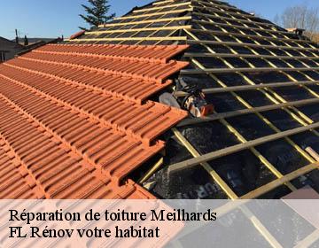 Réparation de toiture meilhards-19510 Artisan Lagrenee