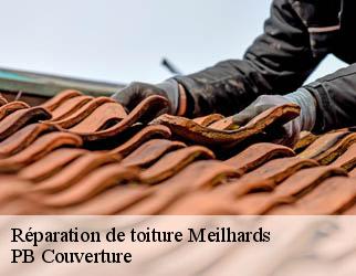 Réparation de toiture meilhards-19510 PB Couverture