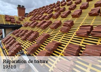 Réparation de toiture 19510