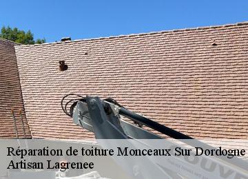 Réparation de toiture  monceaux-sur-dordogne-19400 Artisan Lagrenee