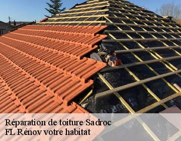 Réparation de toiture sadroc-19270 Artisan Lagrenee