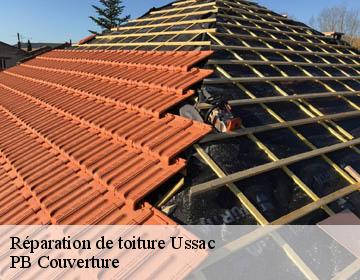 Réparation de toiture  ussac-19270 PB Couverture