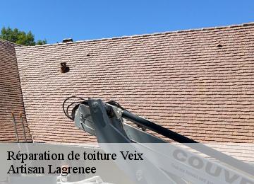 Réparation de toiture  veix-19260 Artisan Lagrenee