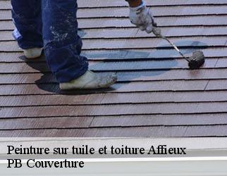 Peinture sur tuile et toiture  affieux-19260 PB Couverture