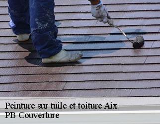 Peinture sur tuile et toiture aix-19200 PB Couverture