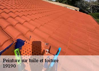 Peinture sur tuile et toiture 19190