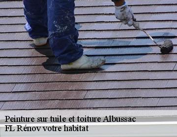 Peinture sur tuile et toiture albussac-19380 FL Rénov votre habitat