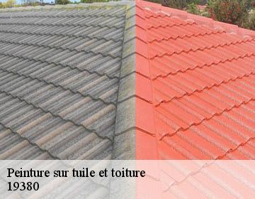Peinture sur tuile et toiture 19380