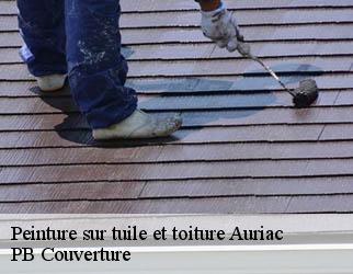 Peinture sur tuile et toiture auriac-19220 PB Couverture