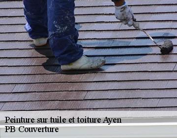 Peinture sur tuile et toiture  ayen-19310 PB Couverture