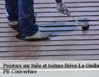 Peinture sur tuile et toiture brive-la-gaillarde-19100 Entreprise AC PRO HABITAT