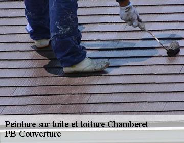Peinture sur tuile et toiture chamberet-19370 PB Couverture