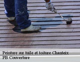 Peinture sur tuile et toiture chanteix-19330 PB Couverture