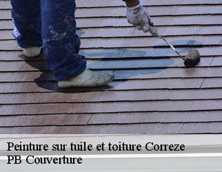 Peinture sur tuile et toiture correze-19800 PB Couverture