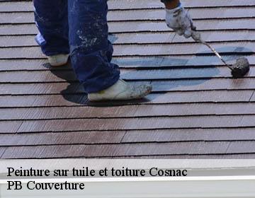 Peinture sur tuile et toiture  cosnac-19360 PB Couverture