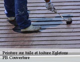 Peinture sur tuile et toiture egletons-19300 PB Couverture