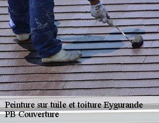 Peinture sur tuile et toiture eygurande-19340 PB Couverture
