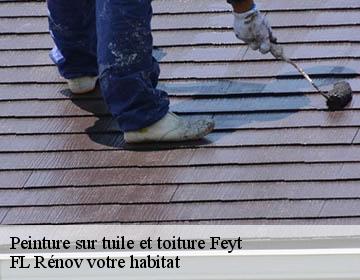 Peinture sur tuile et toiture feyt-19340 Artisan Lagrenee