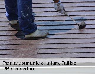 Peinture sur tuile et toiture  juillac-19350 PB Couverture
