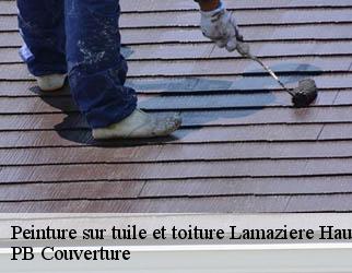 Peinture sur tuile et toiture lamaziere-haute-19340 PB Couverture