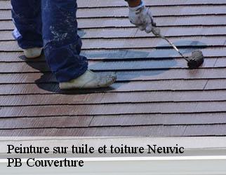 Peinture sur tuile et toiture neuvic-19160 Entreprise AC PRO HABITAT