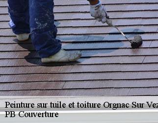 Peinture sur tuile et toiture orgnac-sur-vezere-19410 PB Couverture