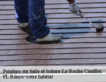 Peinture sur tuile et toiture la-roche-canillac-19320 Artisan Lagrenee