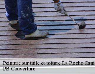 Peinture sur tuile et toiture la-roche-canillac-19320 Artisan Picque