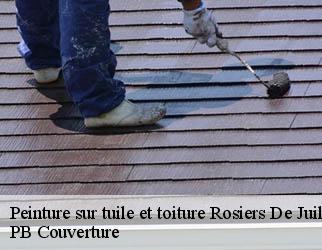 Peinture sur tuile et toiture rosiers-de-juillac-19350 PB Couverture