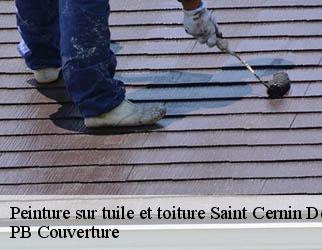 Peinture sur tuile et toiture  saint-cernin-de-larche-19600 PB Couverture