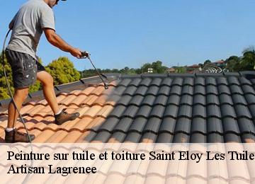 Peinture sur tuile et toiture  saint-eloy-les-tuileries-19210 Artisan Lagrenee