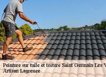 Peinture sur tuile et toiture  saint-germain-les-vergnes-19330 Artisan Lagrenee