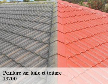 Peinture sur tuile et toiture 19700