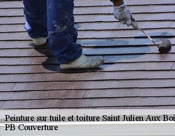 Peinture sur tuile et toiture saint-julien-aux-bois-19220 PB Couverture