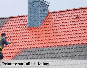 Peinture sur tuile et toiture