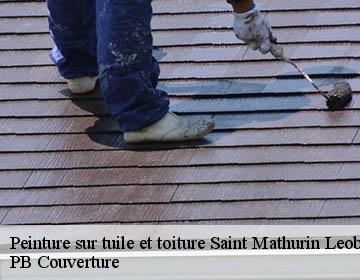 Peinture sur tuile et toiture saint-mathurin-leobazel-19430 PB Couverture